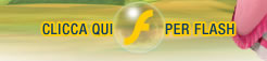 Clicca qui per Flash